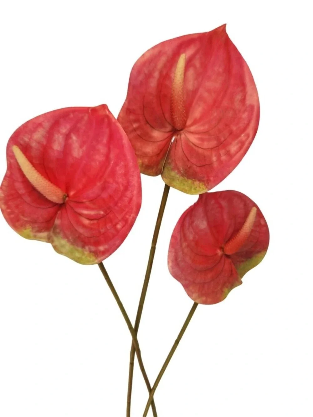 Pink Artificial Anthurium Stems Set of 3, 23 Inch Faux Modern Tropical Decor